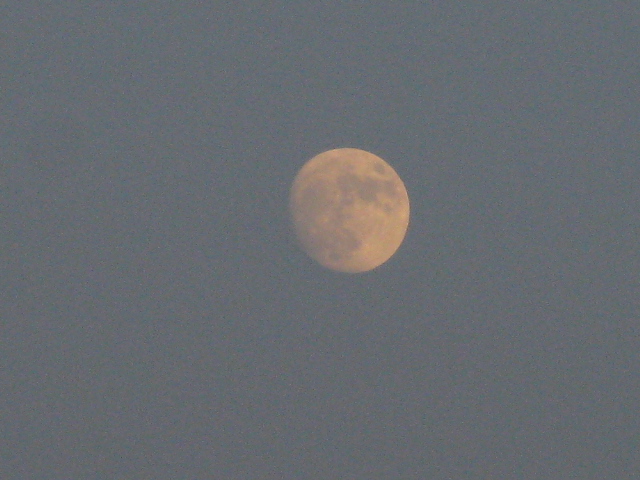 Moon-01.jpg