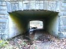 Filename=Autumn-20.jpg
Filesize=460KiB
Dimensions=1706x1280
Date added=Dec 17, 2008 Autumn-20.jpg