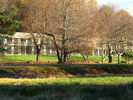 Filename=Autumn-21.jpg
Filesize=716KiB
Dimensions=1706x1280
Date added=Dec 17, 2008 Autumn-21.jpg