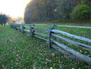 Filename=Autumn-22.jpg
Filesize=690KiB
Dimensions=1706x1280
Date added=Dec 17, 2008 Autumn-22.jpg