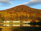 Filename=Autumn-29.jpg
Filesize=472KiB
Dimensions=1706x1280
Date added=Dec 17, 2008 Autumn-29.jpg