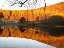 Filename=Autumn-35.jpg
Filesize=488KiB
Dimensions=1706x1280
Date added=Dec 17, 2008 Autumn-35.jpg