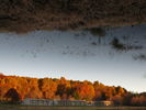 Filename=Autumn-36.jpg
Filesize=380KiB
Dimensions=1706x1280
Date added=Dec 17, 2008 Autumn-36.jpg