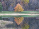 Filename=Autumn-37.jpg
Filesize=340KiB
Dimensions=1706x1280
Date added=Dec 17, 2008 Autumn-37.jpg