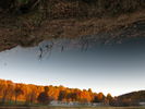 Filename=Autumn-38.jpg
Filesize=361KiB
Dimensions=1706x1280
Date added=Dec 17, 2008 Autumn-38.jpg