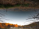 Filename=Autumn-39.jpg
Filesize=417KiB
Dimensions=1706x1280
Date added=Dec 17, 2008 Autumn-39.jpg