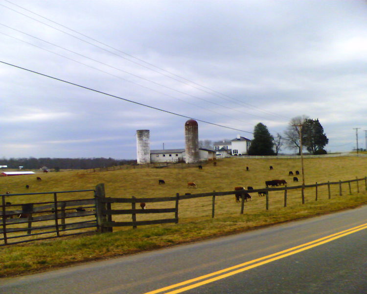 Farm on Fancy Farm Road
Picture of one of many farms on Fancy Farm Road in Bedford.
