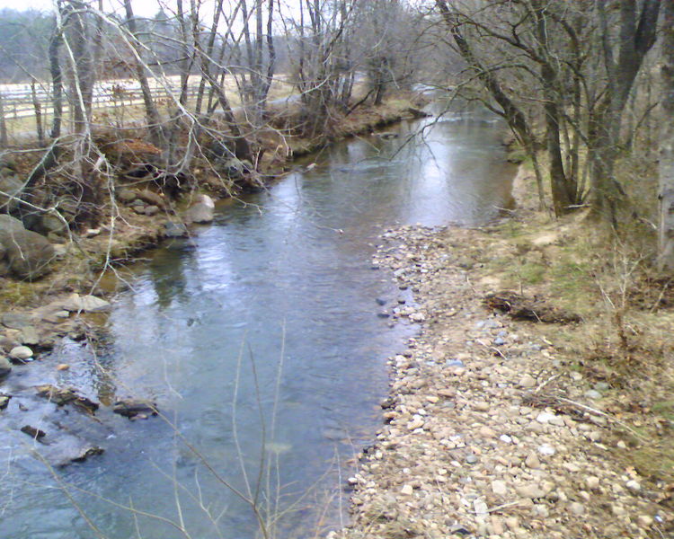 Little Otter River
A view of Little Otter River, which flows under Peaks Street.
