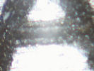 Filename=A-Autism-MedicAlert.jpg
Filesize=23KiB
Dimensions=640x480
Date added=Apr 02, 2009 A-Autism-MedicAlert.jpg