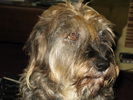 Filename=Claudia-01.jpg
Filesize=473KiB
Dimensions=1706x1280
Date added=Dec 16, 2008 Claudia-01.jpg