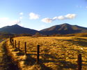 Filename=KelsoPeaks-01.jpg
Filesize=989KiB
Dimensions=1280x1024
Date added=Feb 22, 2007 KelsoPeaks-01.jpg