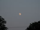 Filename=Moon-04.jpg
Filesize=163KiB
Dimensions=1706x1280
Date added=Dec 16, 2008 Moon-04.jpg