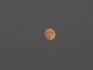 Filename=Moon-05.jpg
Filesize=214KiB
Dimensions=1600x1200
Date added=Dec 16, 2008 Moon-05.jpg
