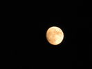 Filename=Moon-06.jpg
Filesize=77KiB
Dimensions=640x480
Date added=Dec 16, 2008 Moon-06.jpg