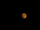 Filename=Moon-07.jpg
Filesize=46KiB
Dimensions=1600x1200
Date added=Dec 16, 2008 Moon-07.jpg