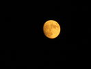 Filename=Moon-08.jpg
Filesize=60KiB
Dimensions=640x480
Date added=Dec 16, 2008 Moon-08.jpg