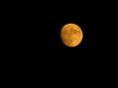 Filename=Moon-09.jpg
Filesize=46KiB
Dimensions=640x480
Date added=Dec 16, 2008 Moon-09.jpg
