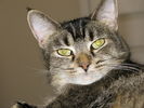 Filename=Reiki-01.jpg
Filesize=412KiB
Dimensions=1706x1280
Date added=Dec 16, 2008 Reiki-01.jpg