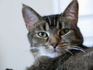 Filename=Reiki-02.jpg
Filesize=275KiB
Dimensions=1706x1280
Date added=Dec 16, 2008 Reiki-02.jpg