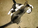 Filename=rei-cook-l.jpg
Filesize=55KiB
Dimensions=640x480
Date added=Feb 12, 2007 rei-cook-l.jpg